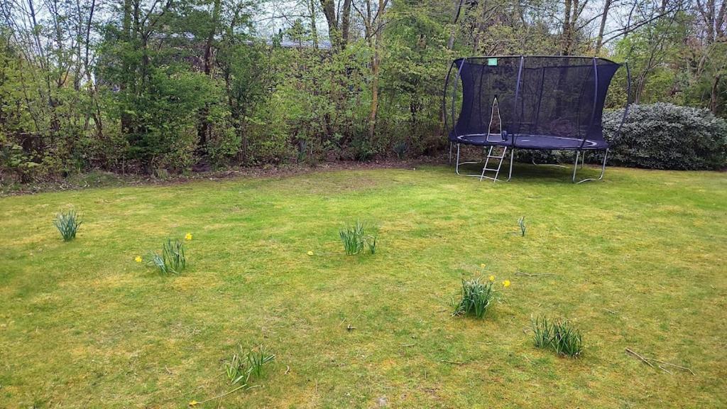 Vakantiehuis Hollum Ameland Dichtbij Strand En Met Ruime Tuin - Ameland39 Nl Exterior foto